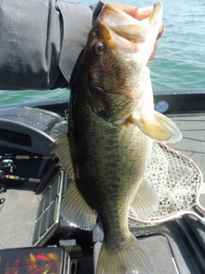 truth  ブログ写真 2017/04/04