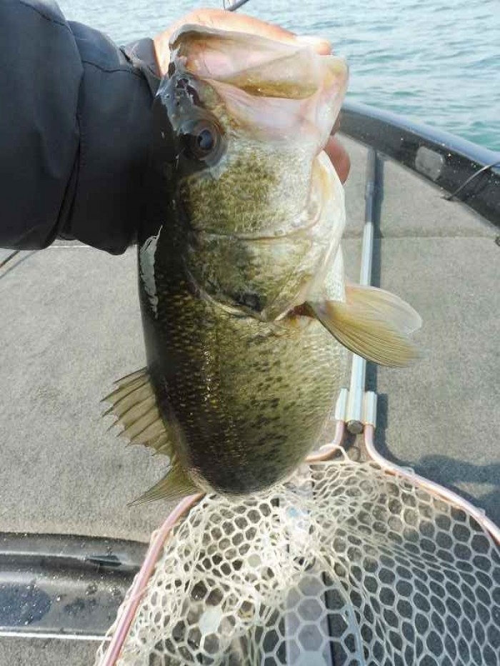 truth  ブログ写真 2017/04/06