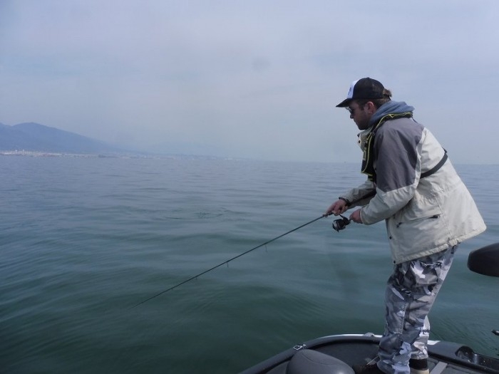 truth  ブログ写真 2017/04/06