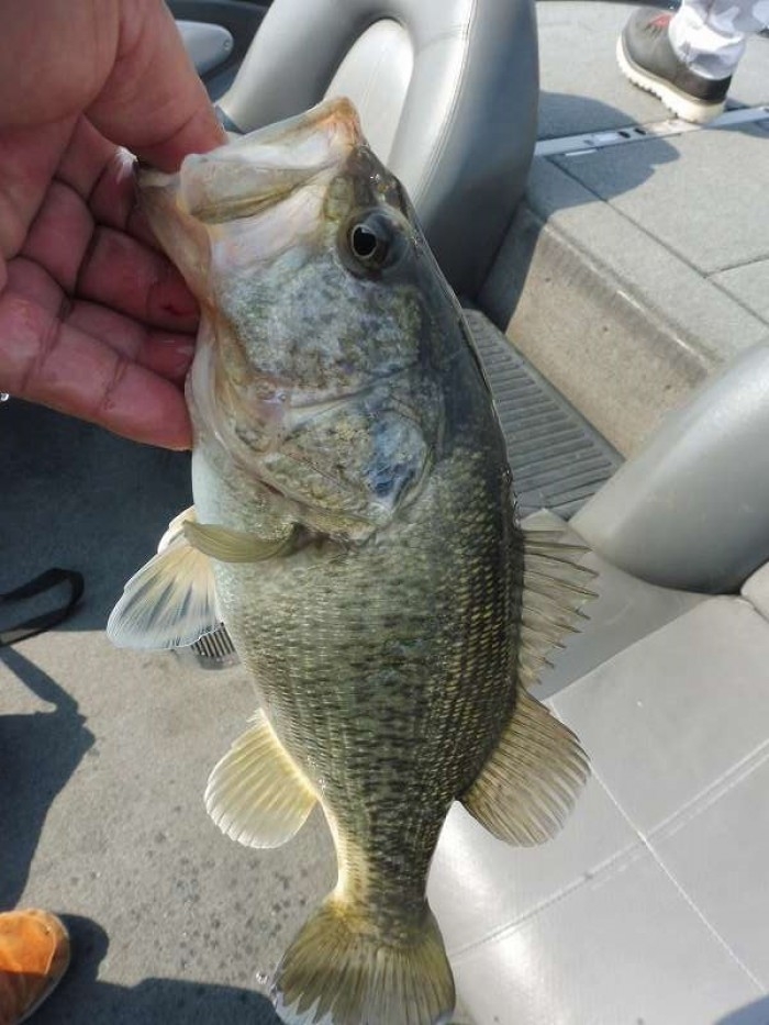 truth  ブログ写真 2017/04/06