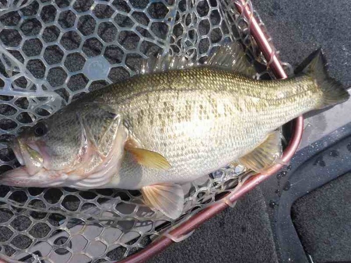 truth  ブログ写真 2017/04/06