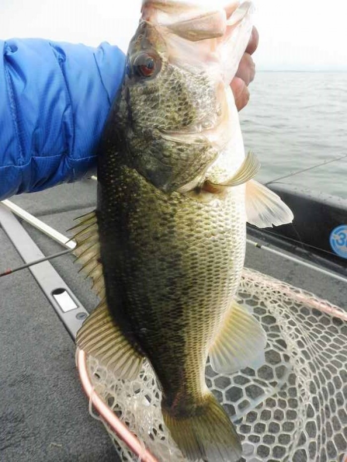 truth  ブログ写真 2017/04/06