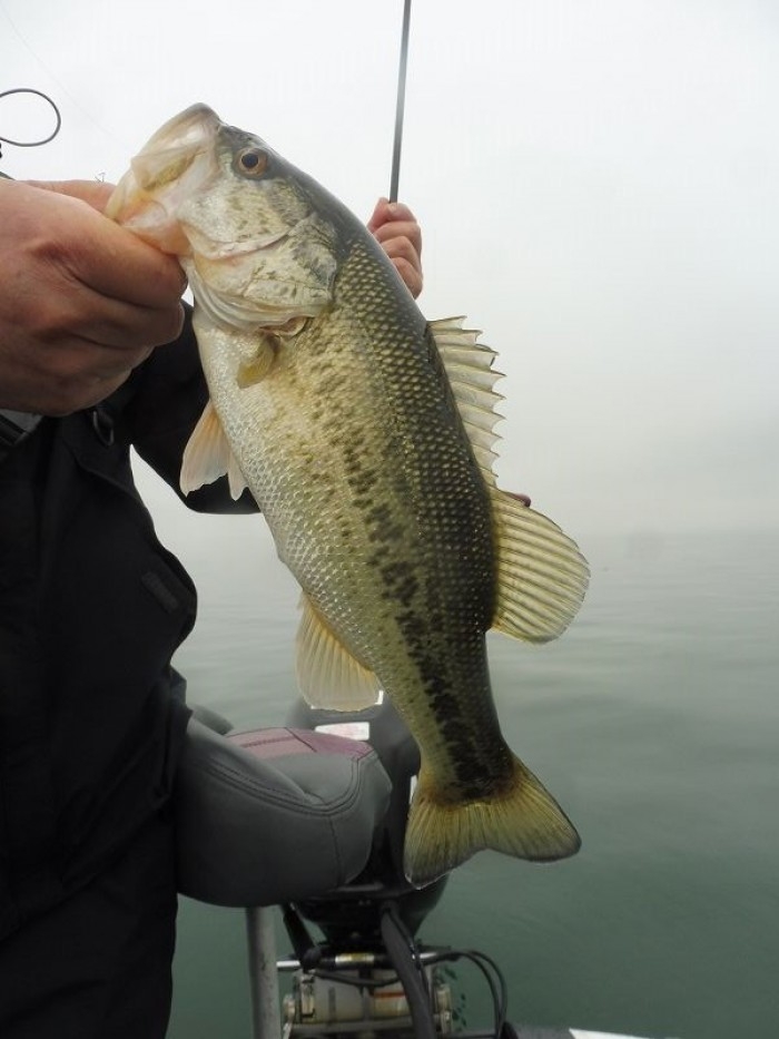 truth  ブログ写真 2017/04/07