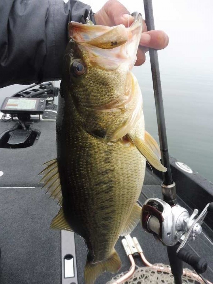 truth  ブログ写真 2017/04/07