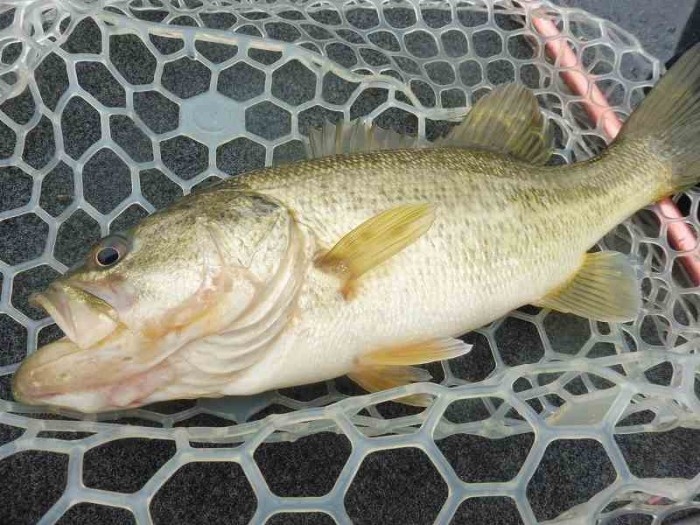 truth  ブログ写真 2017/04/07