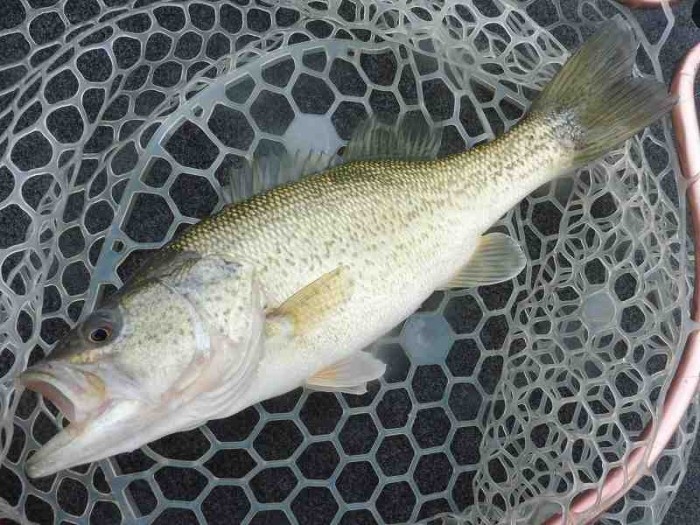 truth  ブログ写真 2017/04/07