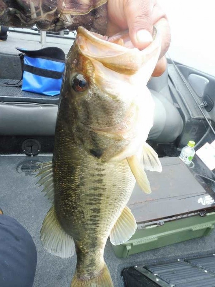 truth  ブログ写真 2017/04/07