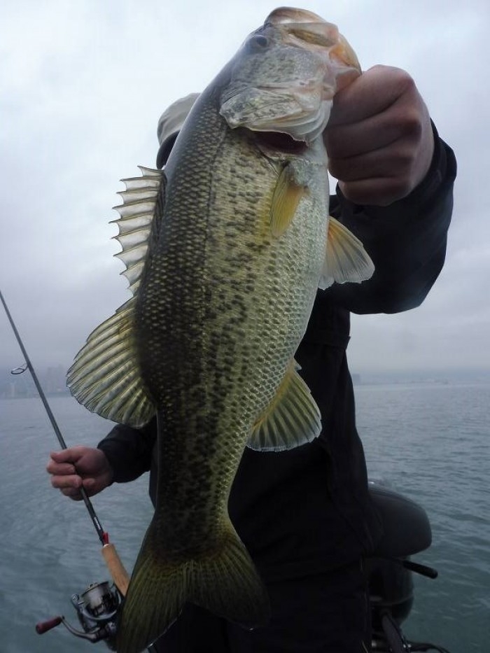 truth  ブログ写真 2017/04/07