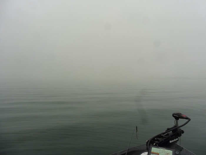 truth  ブログ写真 2017/04/07