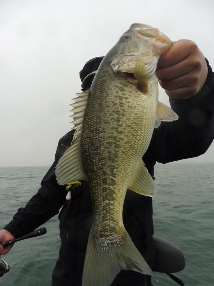 truth  ブログ写真 2017/04/07