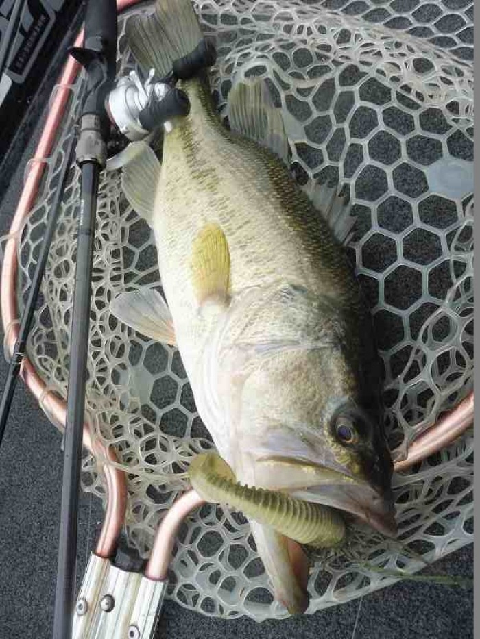 truth  繝悶Ο繧ｰ蜀咏悄 2017/04/07