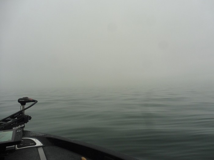 truth  ブログ写真 2017/04/08