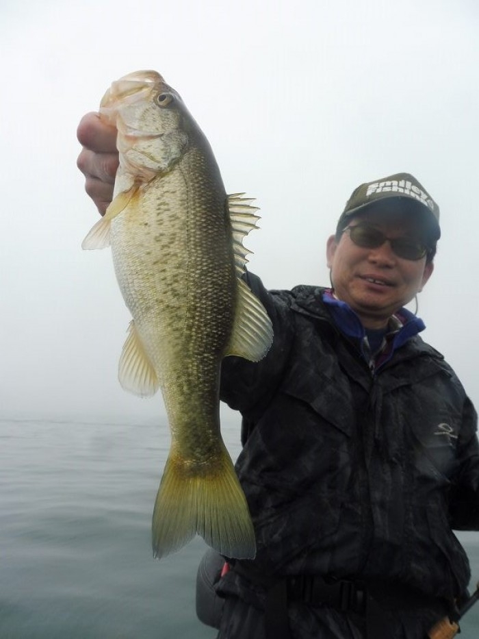 truth  ブログ写真 2017/04/08