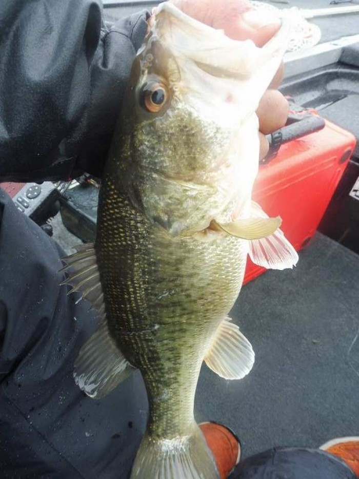 truth  ブログ写真 2017/04/08