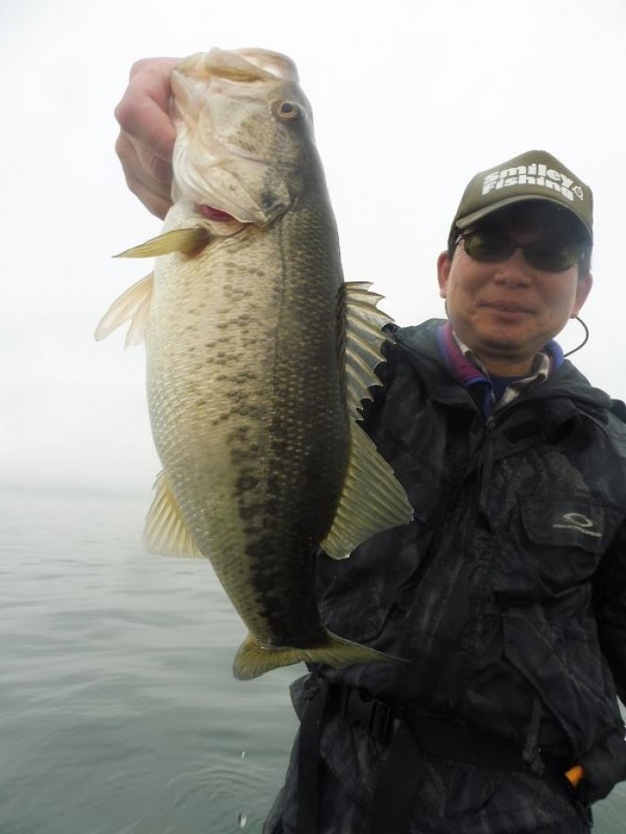 truth  ブログ写真 2017/04/08