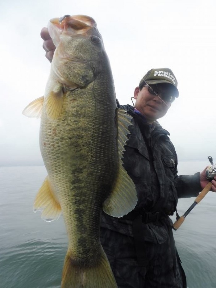 truth  ブログ写真 2017/04/08