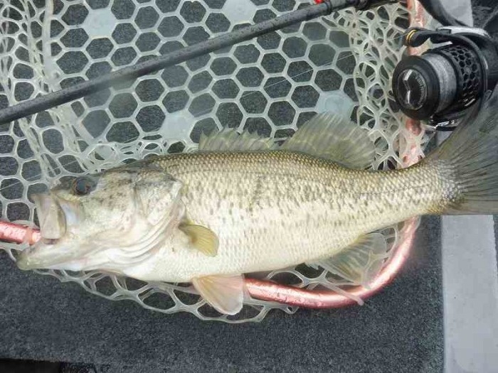 truth  ブログ写真 2017/04/08