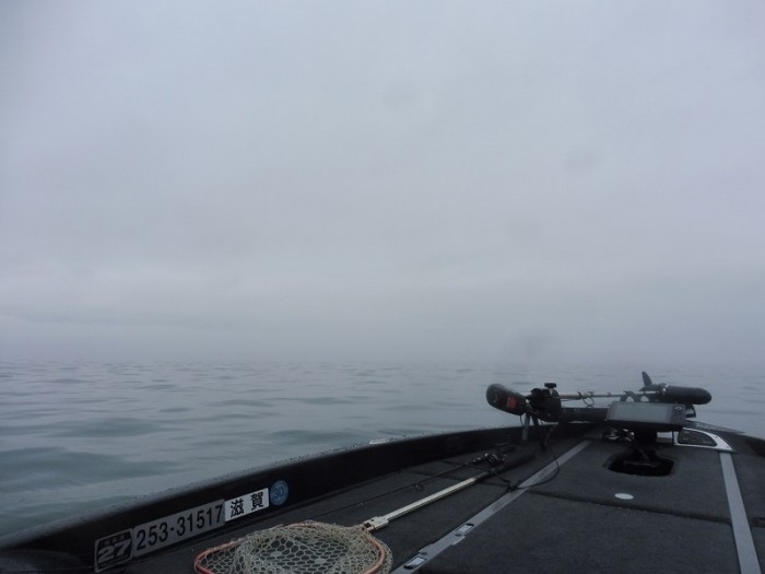 truth  ブログ写真 2017/04/08