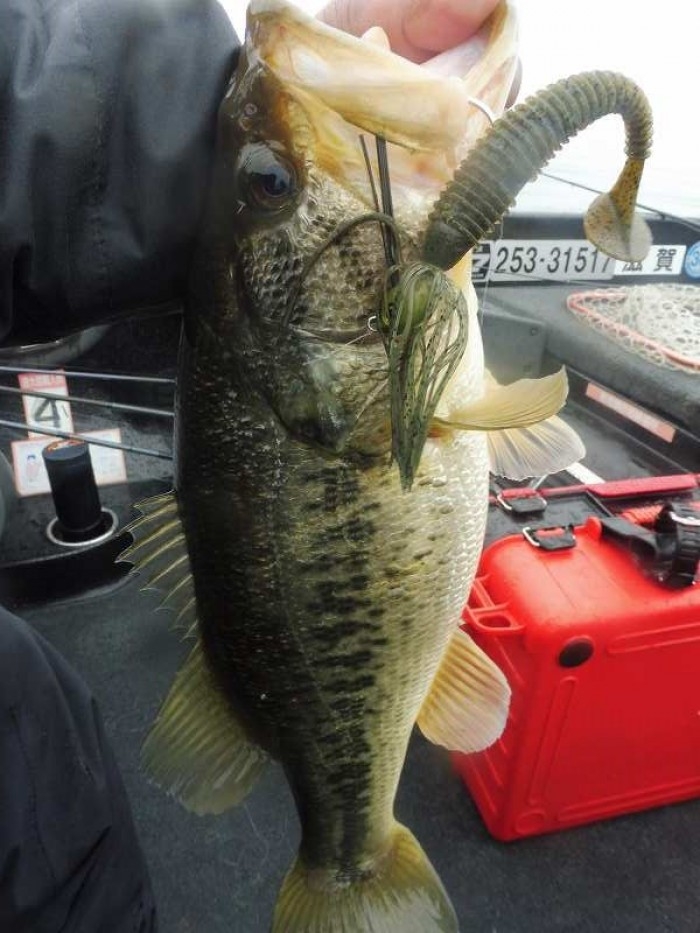 truth  ブログ写真 2017/04/08