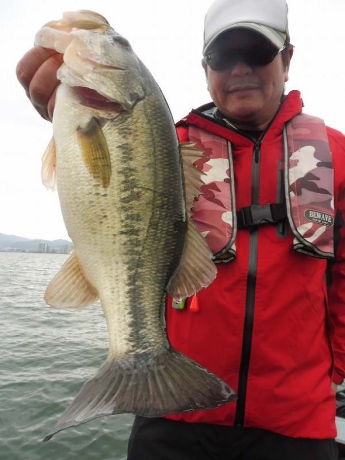 truth  ブログ写真 2017/04/10