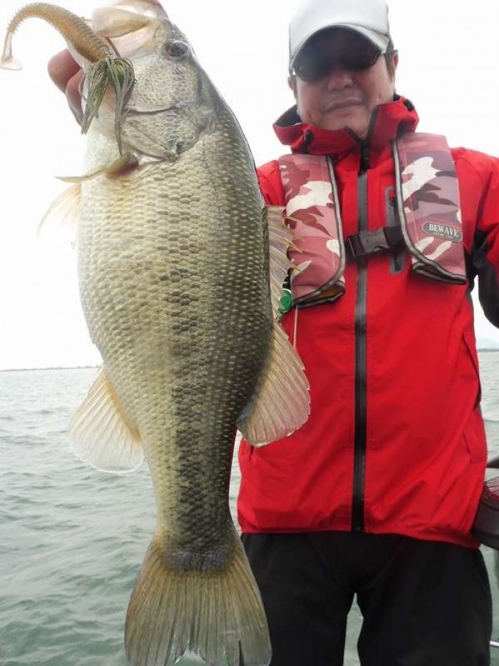 truth  ブログ写真 2017/04/10