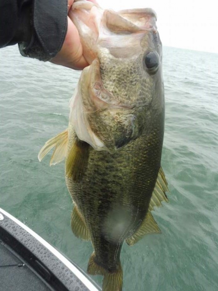 truth  ブログ写真 2017/04/11