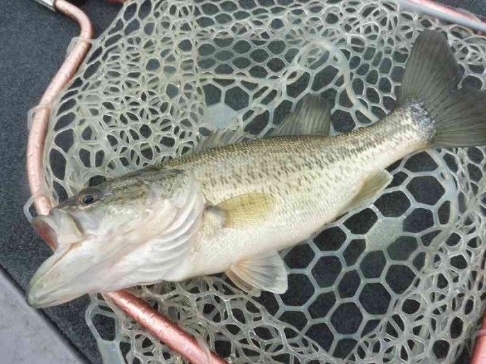 truth  ブログ写真 2017/04/11