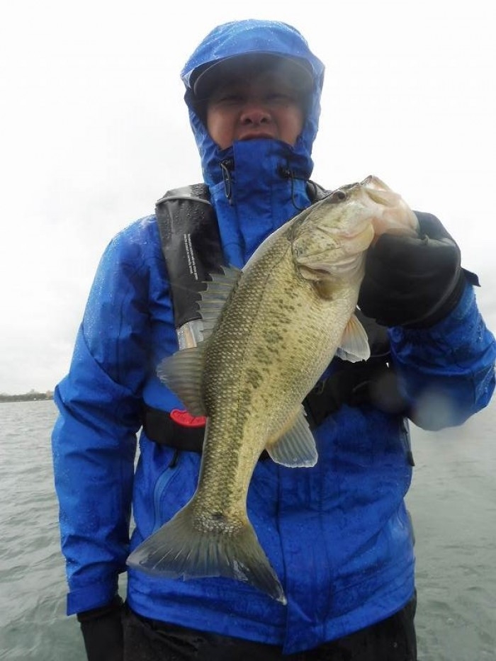 truth  ブログ写真 2017/04/11