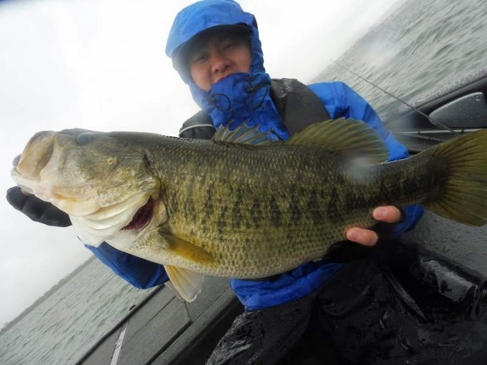 truth  ブログ写真 2017/04/11