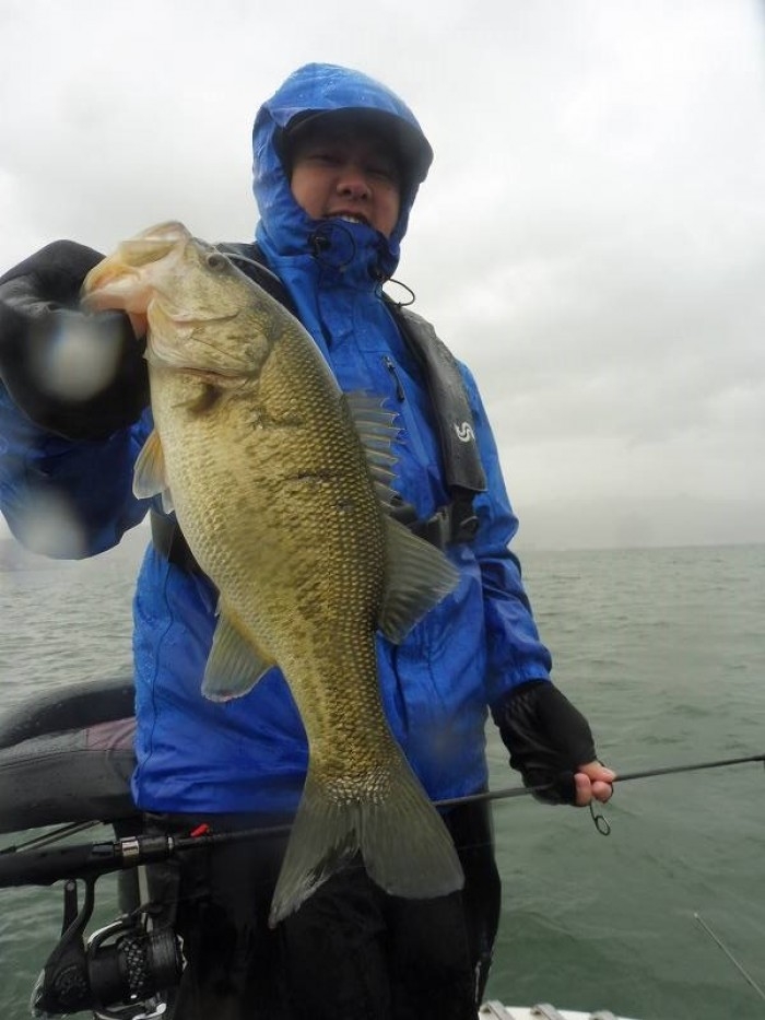 truth  ブログ写真 2017/04/11