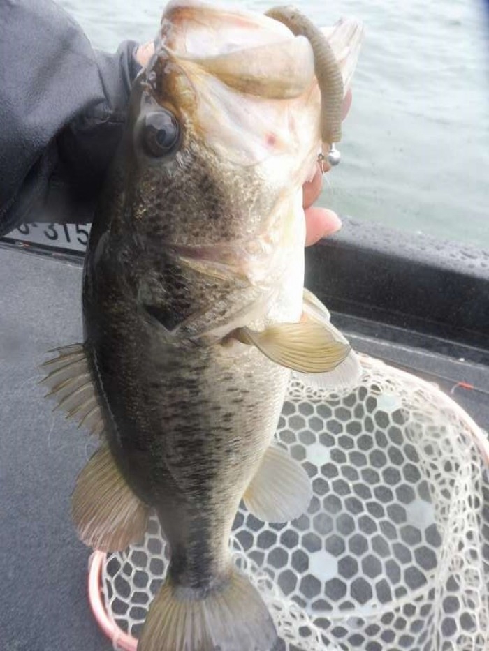 truth  ブログ写真 2017/04/11