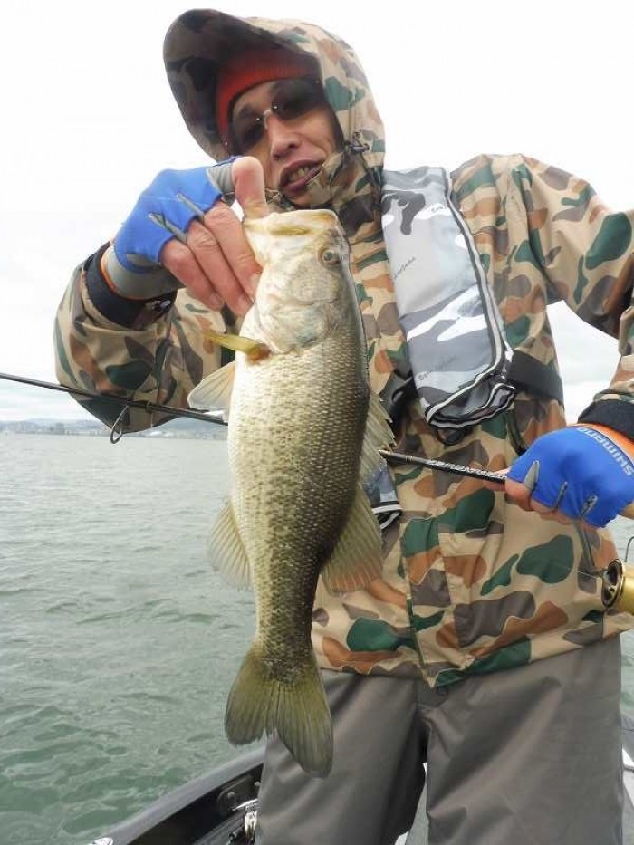 truth  ブログ写真 2017/04/12