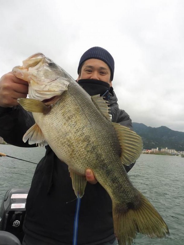 truth  ブログ写真 2017/04/12