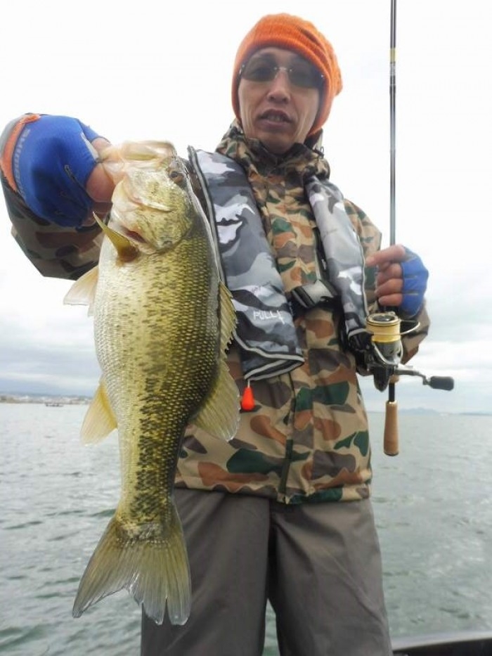 truth  ブログ写真 2017/04/12