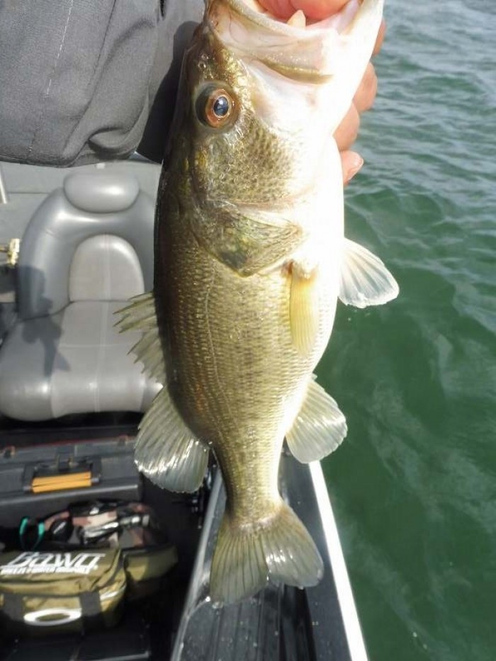 truth  ブログ写真 2017/04/12