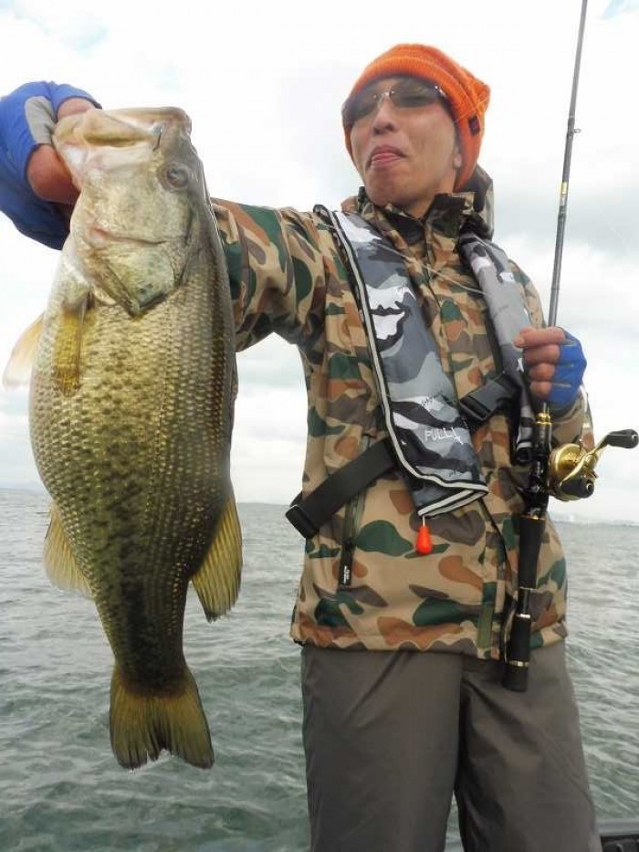 truth  ブログ写真 2017/04/12