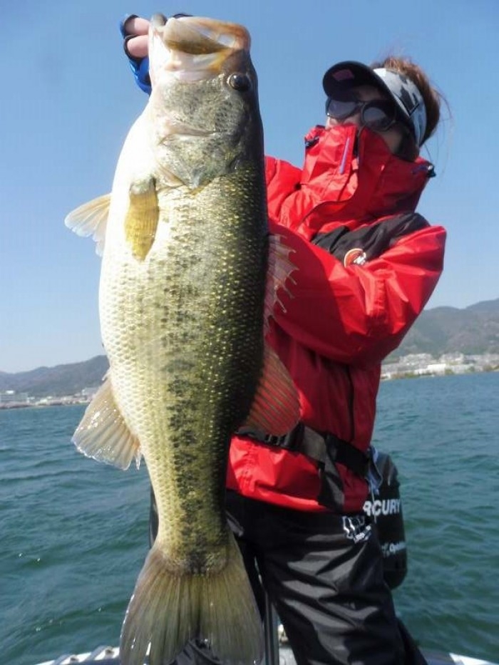 truth  ブログ写真 2017/04/13