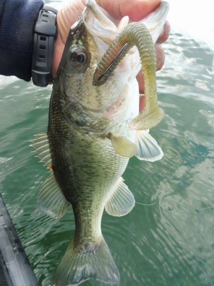 truth  ブログ写真 2017/04/13