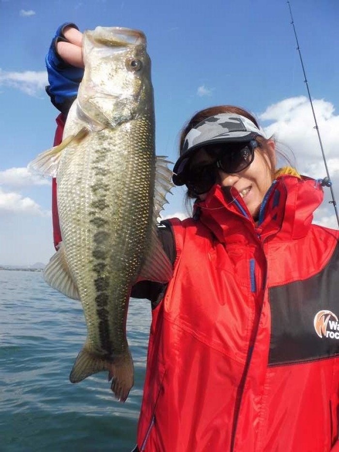 truth  ブログ写真 2017/04/13