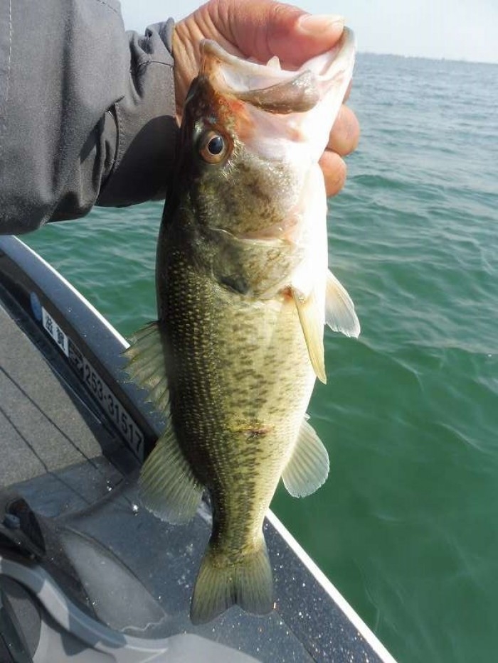 truth  ブログ写真 2017/04/15