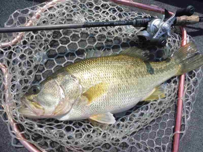 truth  ブログ写真 2017/04/15