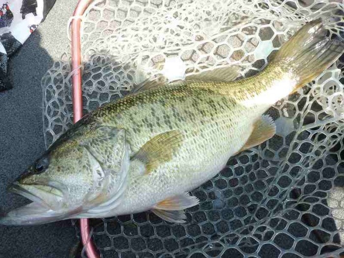 truth  ブログ写真 2017/04/15