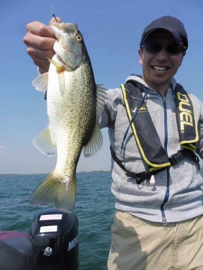 truth  ブログ写真 2017/04/15