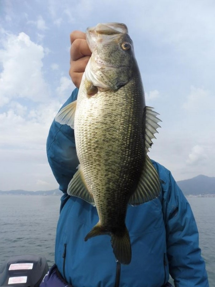 truth  ブログ写真 2017/04/15