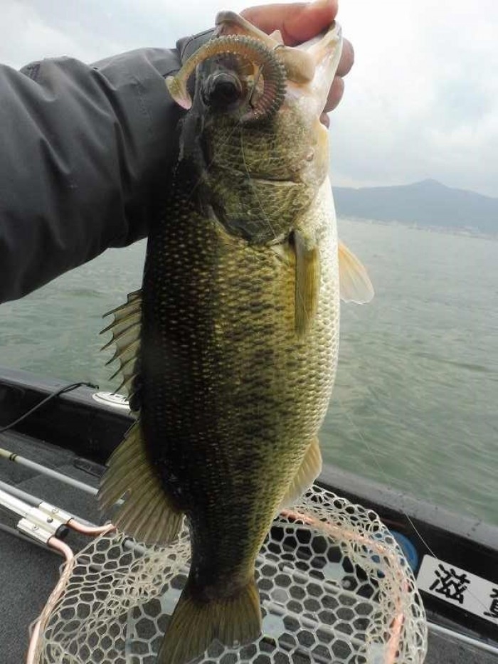 truth  ブログ写真 2017/04/15