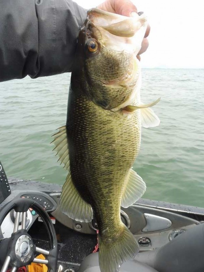 truth  ブログ写真 2017/04/15