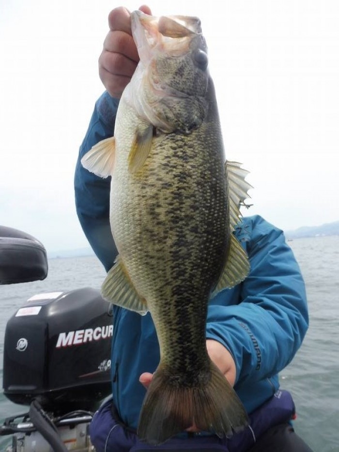 truth  ブログ写真 2017/04/15