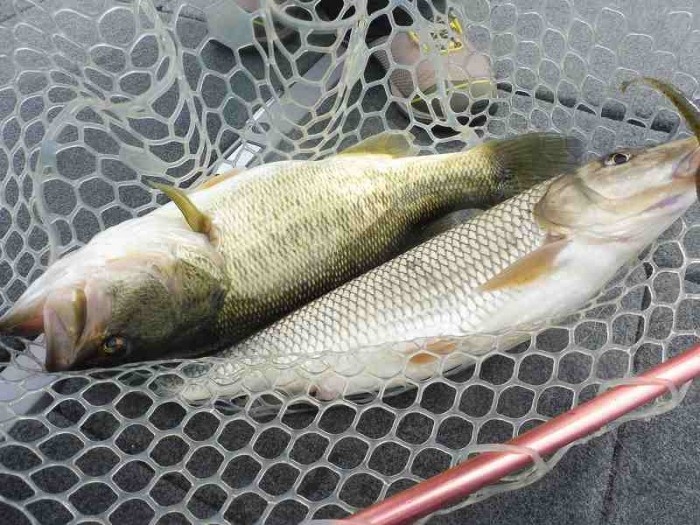 truth  ブログ写真 2017/04/15