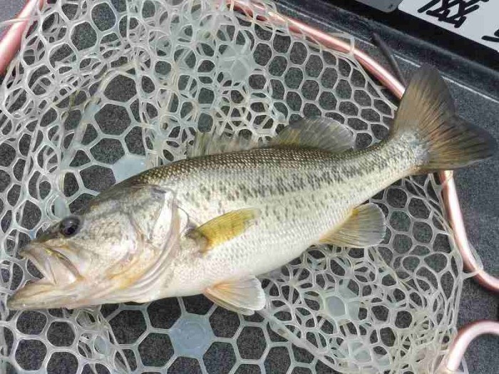 truth  ブログ写真 2017/04/15