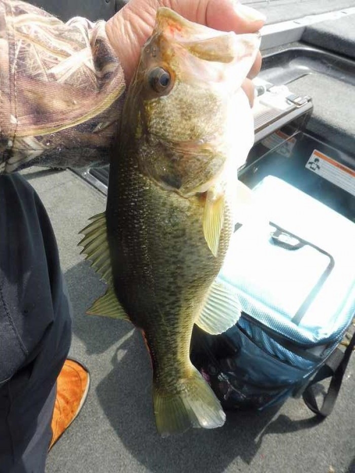 truth  ブログ写真 2017/04/16